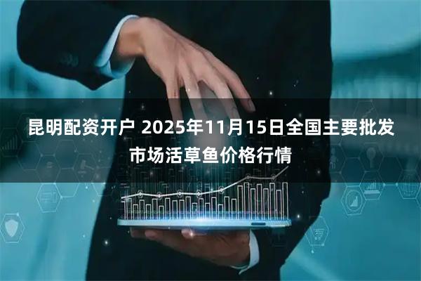 昆明配资开户 2025年11月15日全国主要批发市场活草鱼价格行情