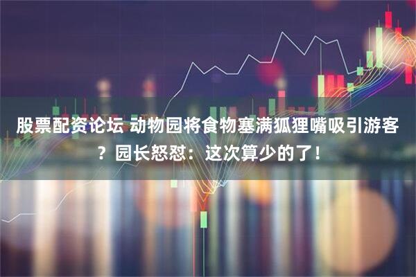 股票配资论坛 动物园将食物塞满狐狸嘴吸引游客？园长怒怼：这次算少的了！
